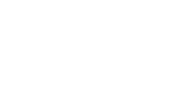 Birdsy